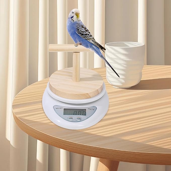 Parrot Weighing Scale – Bird, Electronic Scale | Small Animal Feeding Weight Tool for Xuanfeng Tiger Skin Peony, Measuring Bird Food Grain and Milk Powder for Daily Health Monitoring and Pet