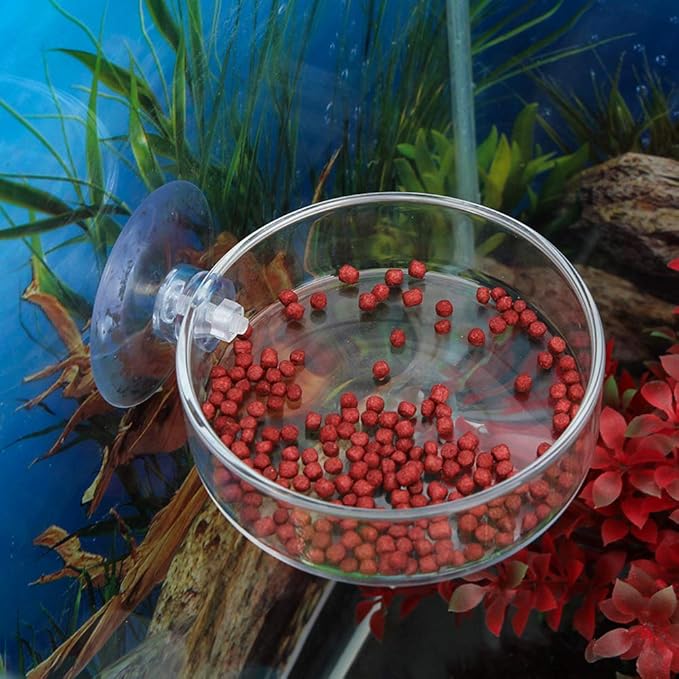 Senzeal 2PCS Shrimp Feeding Dish Glass Aquarium Fish Tank Reptiles Round Feeder Bowl with Suction Cup