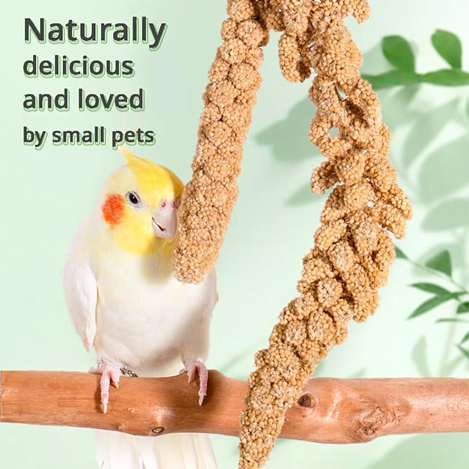 MANON ROSA Natural Spray Millet Healthy Bird Treat and Supplement for All Pet Birds Cockatiel Budgie Finches Parrots Hamster (S(5))
