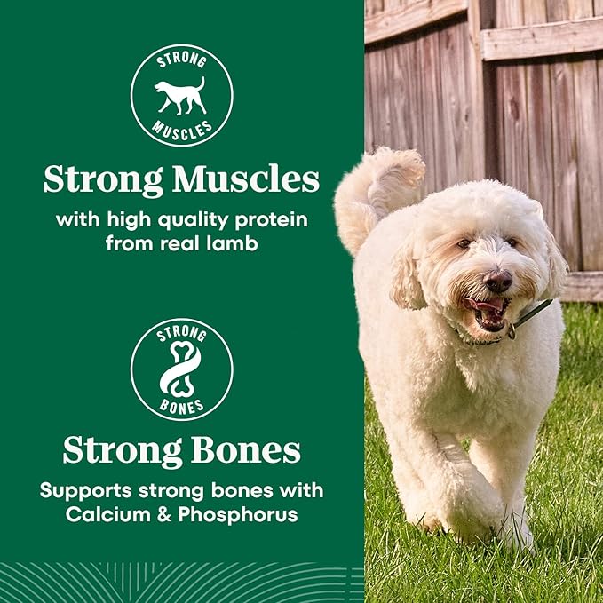 Nutro Natural Choice Senior Dog Food, Lamb & Brown Rice Recipe, 4.5 lb. Bag (Pack of 2)