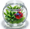 Plastic Aquarium Betta Fish Tank: Large Clear Goldfish Bowl - Tank Vase Pot Clear Bubble Planter with Break Resistant for Home décor Wedding Event Party 8.67 x 6.89 Inches