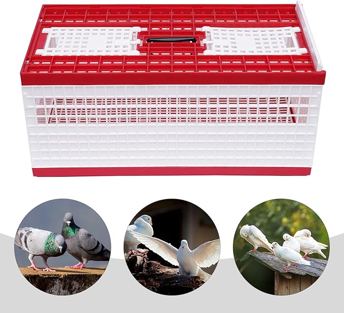 Racing Pigeon Carrier Box Bird Training Basket with 2 Side Doors 2 Top Doors Box