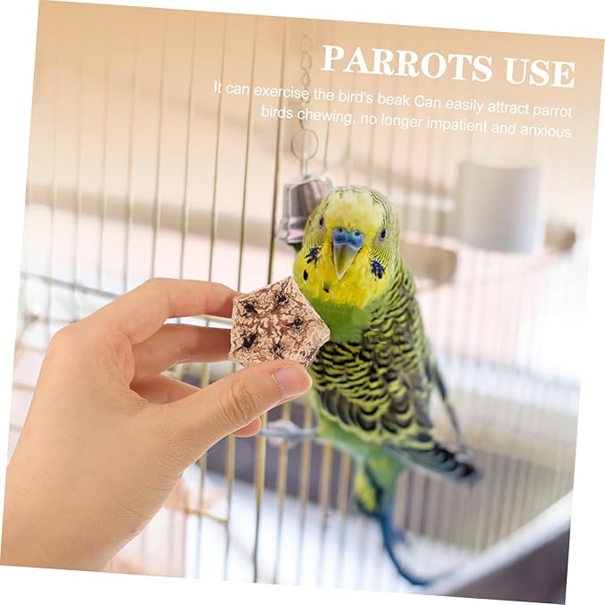 12pcs Parrot Beak Fruit Chewing Treats Bird Toys for Parrots Foraging Toy for Conure