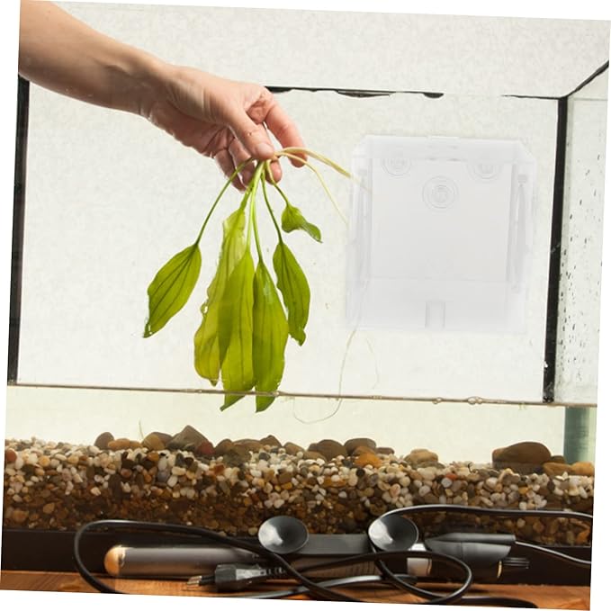 Kisangel Fish Breeding Box Acrylic Isolation Tank for Aquatic Fry Easy to Install Cups Fish Tank Accessory for Newborn