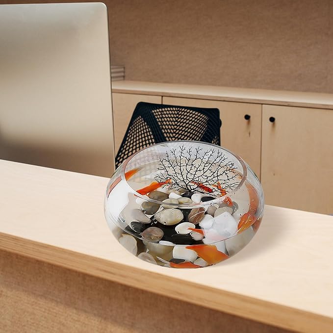 Glass Fish Bowl 25l Decorative Goldfish Bowl Hydroponic Plant Terrarium for Office Desk and Home Aquarium