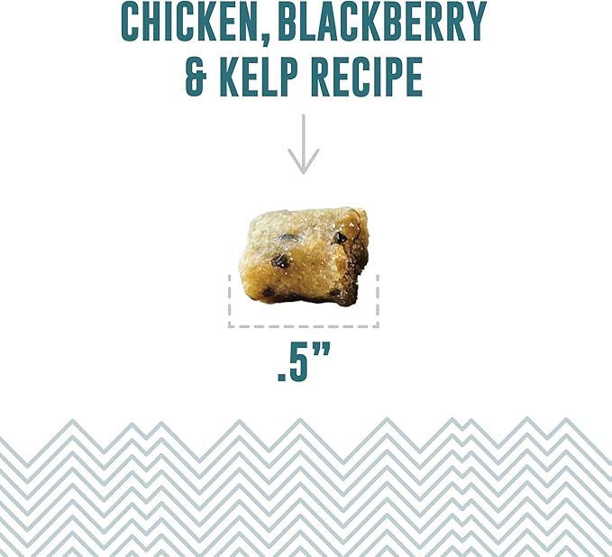 Icelandic+ Soft & Chewy Bites - Chicken, BlackBerry & Kelp - 1.8oz Cat Treats, 70% Meat & Fruit, Air-Dried, Limited Ingredients, Pet Snack, Grain Free