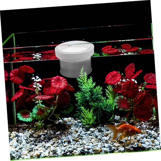 POPETPOP Fish Tank Isolation Box Acrylic Aquarium Breeding Box Fish Separator 360-degree Viewing Easy to Use