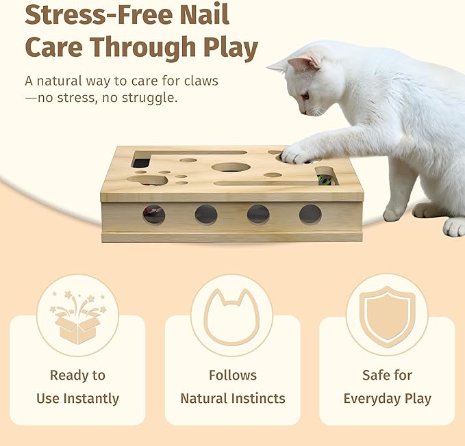 Cat Nail File Enrichment Box, Cat Scratch Puzzle Box with Replaceable Filing Pad, Stress-Free Grooming Toy for Indoor Cats