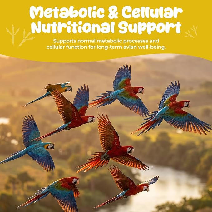 Vitamin E Supplement for Birds – Powder Vitamin E Supports Feather Condition & Cellular Function, Daily Nutrition Support