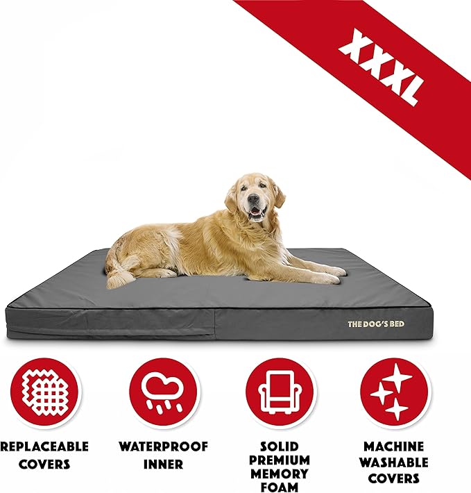 The Dog’s Bed Orthopedic Memory Foam Dog Bed Mattress, Oxford Fabric, Grey with Black Trim, XXXL, 6-Inch