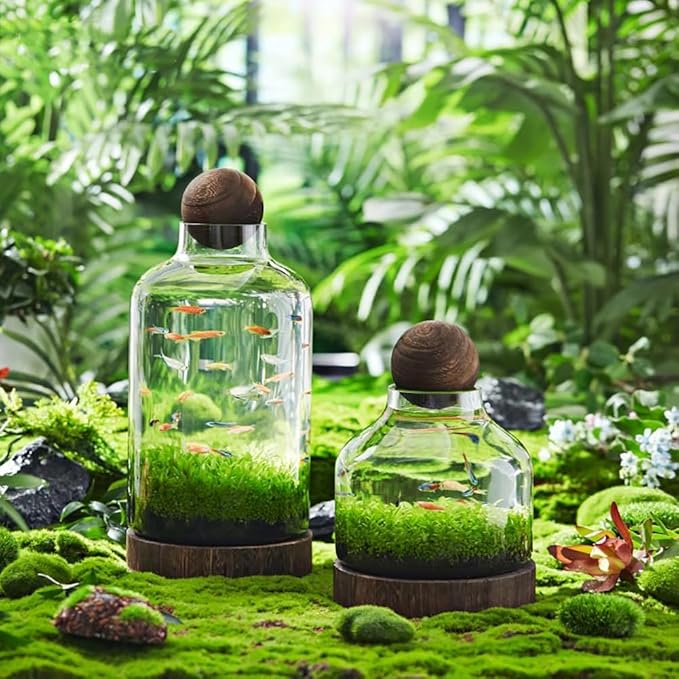 Glass Aquarium, Miniature Landscape Terrarium Glass Fish Tank with Wooden Base, Modern Betta Fish Tank, Small Aquarium for Home and Office Decoration,XXL