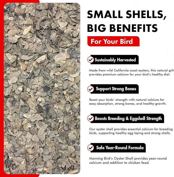 Morning Bird Oyster Shell for Birds 4.5 lbs (3-Pack, 1.5 lbs Each) – Natural Calcium Supplement – Sustainably Harvested from California Coast – Easy to Mix – Safe Year-Round Bird Food Additive