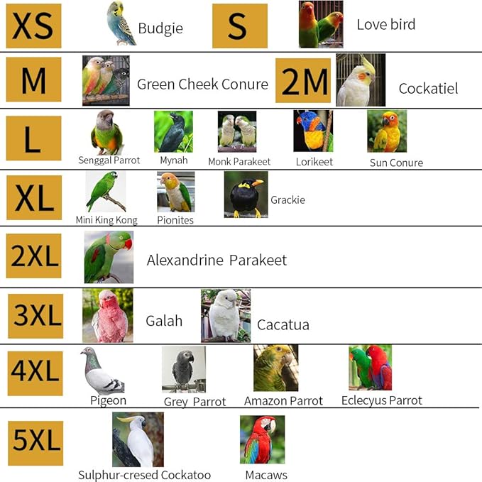 Bird Clothes Parrot Diapers Bird Flight Suits, Reusable Waterproof Diapers pet Bird Supplies (Without Rope, 2M)