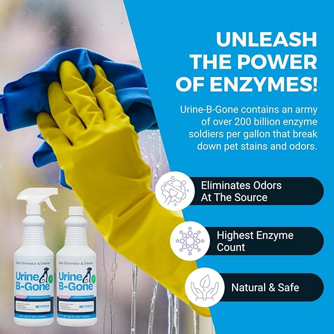 Urine B-Gone, Professional Enzyme Odor Eliminator & Pet Stain Remover, Human, Cat & Dog Urine Cleaner, Effective on Laundry, Carpets & More, Lavender Scent, 32oz, Pack of Two