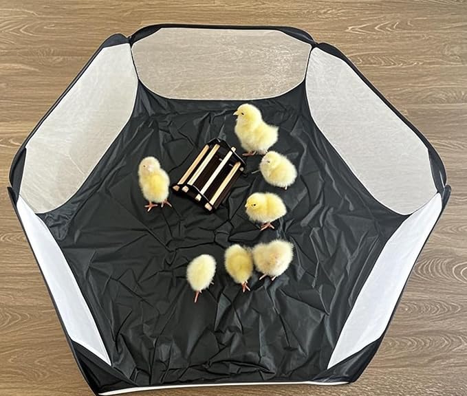 Baby Chick Playpen and Perch with Roosting Bars for coop and brooder, Brooder Box for Chick Fence, Portable Small Animals Playpen Cage Tent Black (Black, Chick Playpen + Perch)