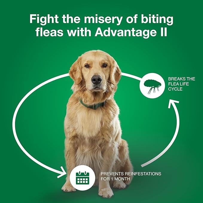Advantage II Medium Dog, 6 pack