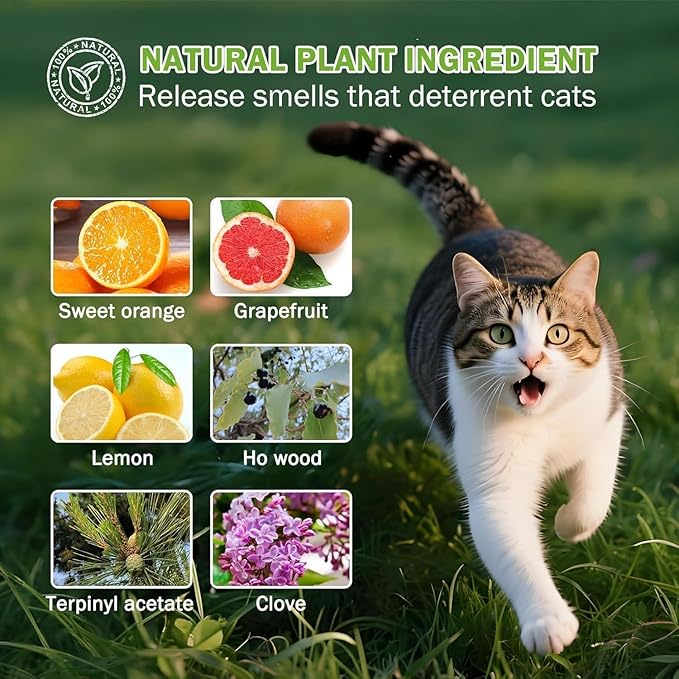 10Pack Cat Repellent Outdoor & Indoor: Natural Cat Deterrent Essential Oils Ball-Natural Extract Essential Oil, Anti Cat Scratch for Furniture, Keep Cats Off Yard Garden Lawn Plants Trash Can (10pcs)