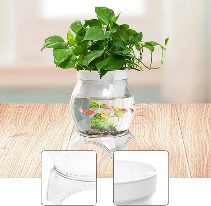 Desktop Fish Bowl Aquarium Hydroponic Planter Creative for Home Landscaping for Living Room with Stand Transparent 2 in 1, 16.8cmx21.8cm