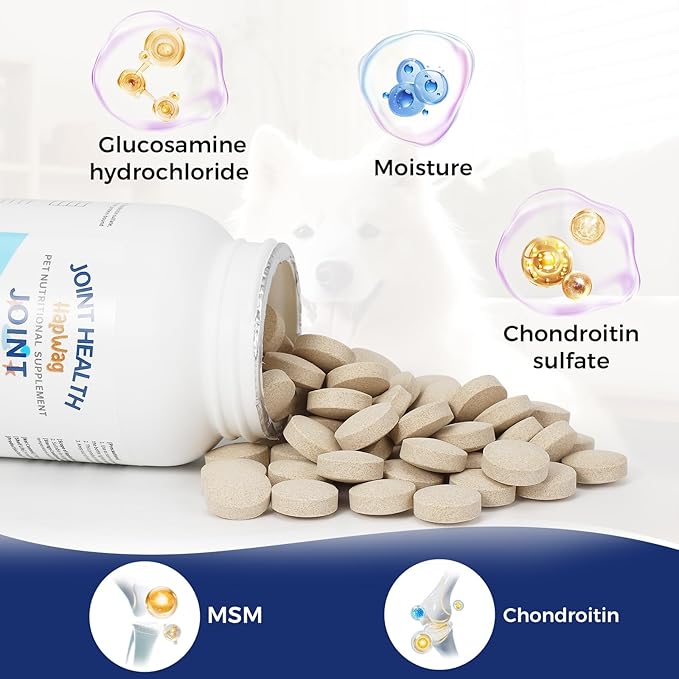Hip and Joint Care Supplement with Glucosamine, Chondroitin, MSM for All Breeds and Ages Dogs - Chicken Flavor - 100 Chews