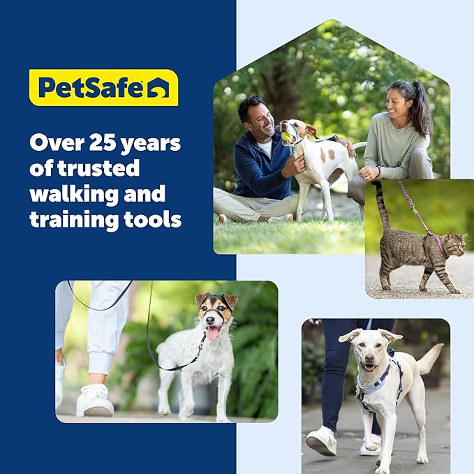 PetSafe Gentle Leader Headcollar No-Pull Dog Collar - Helps Improve Walks - Durable Nylon Construction - Padded Nose Loop - Adjustable Fit - Comfort Walking Halter - Medium, Apple Green