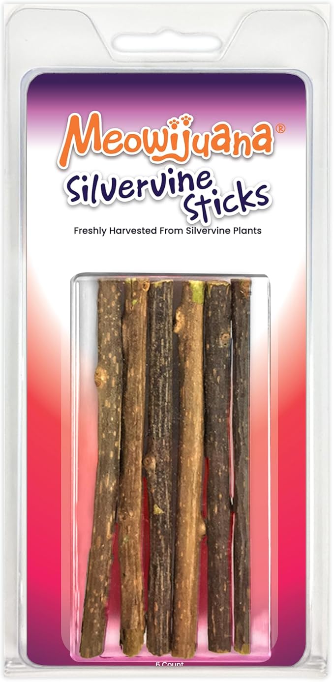 Meowijuana Silvervine Sticks | 4” Chew Sticks for Cats | Promote Healthy Chewing Habits and Dental Health | Freshly Harvested from Silverine Plants