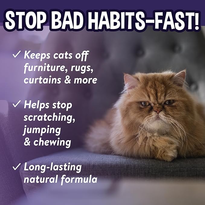 Bodhi Dog 3-in-1 Cat & Kitten Training Aid - Cat Deterrent Spray for Indoor and Outdoor Use - Repellent to Establish Boundaries, Keep Cats Off Furniture, Protect Rugs & Plants - Made in USA (8 Fl Oz)