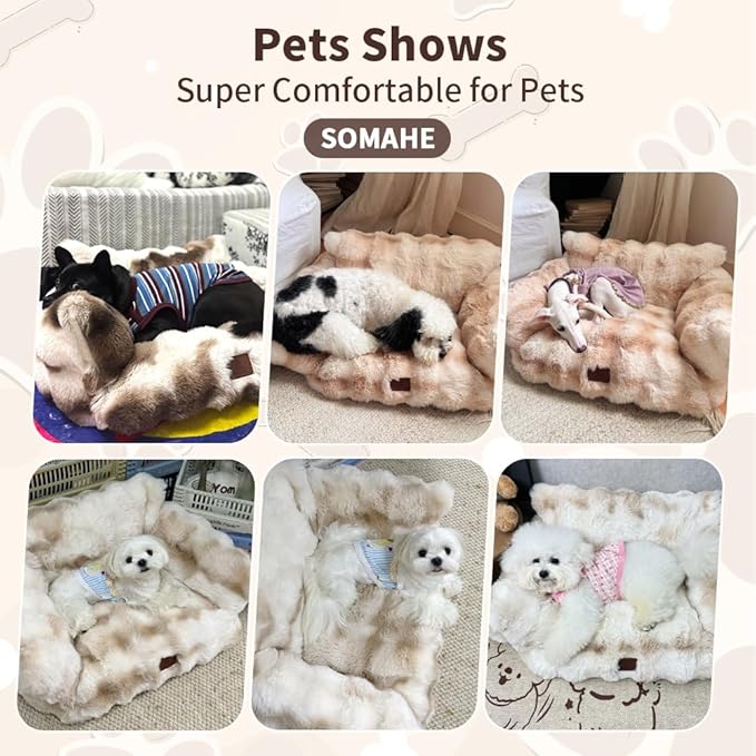 Cat Bed for Indoor Cats Dog Couch Cat Couch Bed Washable Dog Beds for Small Dogs & Cats with Removable Cover, Fluffy Pets Couch with Non-Slip Bottom 24"X18"X10"Blue