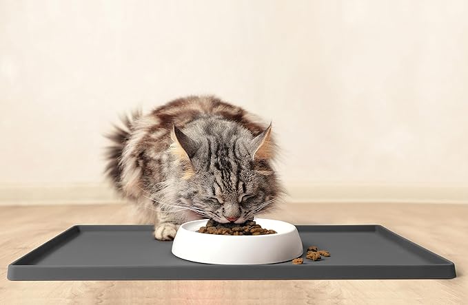 CatGuru Cat Bowls, Whisker Friendly Food Bowl for Indoor Cats, Reliefs Whisker Fatigue, Wide Kitten Dish, Non Slip Pet Dishes, Shallow Pet Plates (Ceramic, White, (Pack of 1))