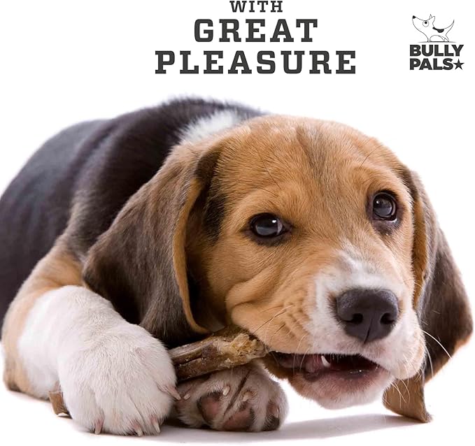6 inch Thin Bully Sticks for Small Dogs and Puppies - 20 Pack - All Natural, Single Ingredient, Easily Digestible, All Beef Dog Treats and Rawhide Free Dental Chew Bones for Dogs