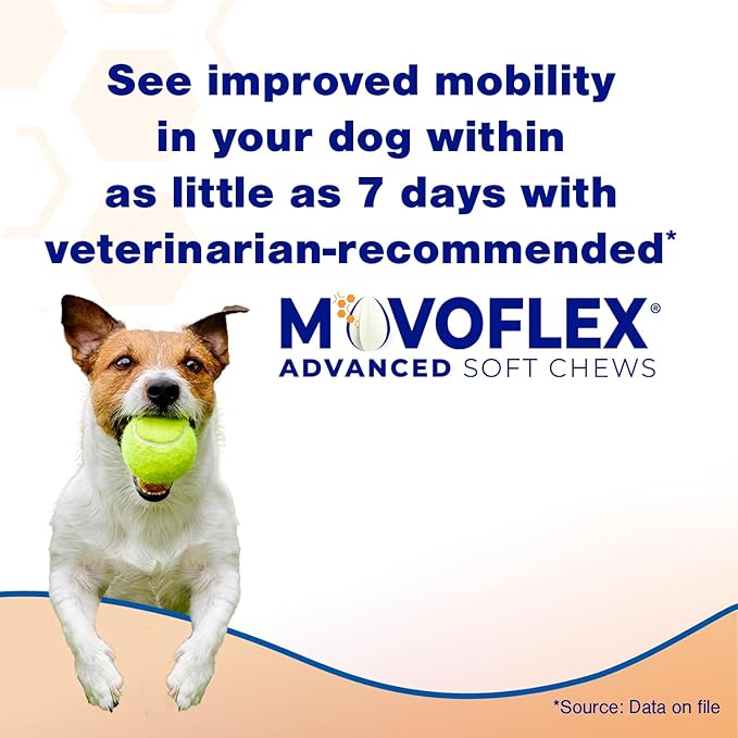 Advanced Soft Chews Hip and Joint Support Supplement for Small Dogs - Movoflex 120 Count by Virbac