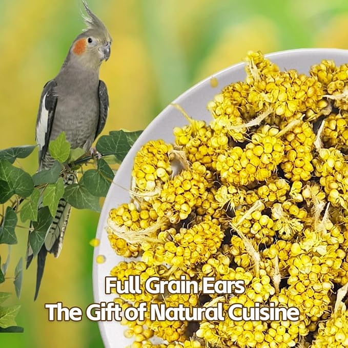 MANON ROSA Spray Millet for Birds - Premium Selenium-Enriched Treats and Chewing Toy, 3.5 Ounce for Parrots Parakeets Lovebirds Finches Budgies Canaries Cockatoos Cockatiels