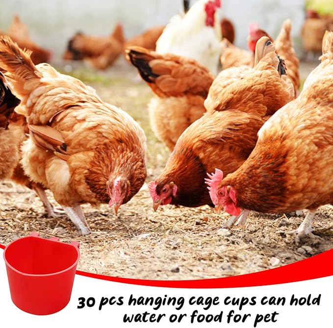 30 Pcs Chicken Coop Feeder Water Cup,8 oz Cage Cups Chicken Feeder Waterer, Cage Cups Birds Hanging Feeders, Chicken Feeder Water Bowl for Parakeet Poultry Pigeon Bunny Wire Cage (Red)