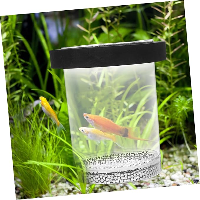 Box Pot Fish Breeding Cage Aquarium Hatchery Tank Hatchery Incubators Breeding Cage for Guppy Betta Fish Tank Floating Fish Tank Hatching Incubator Sink Small Fish