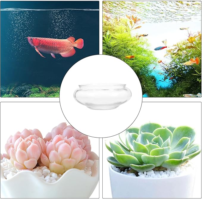 SUPVOX Glass Fish Bowl Round Aquarium Planter 5.90In Clear Hydroponic Vase Terrarium Container for Home Wedding Office Decor