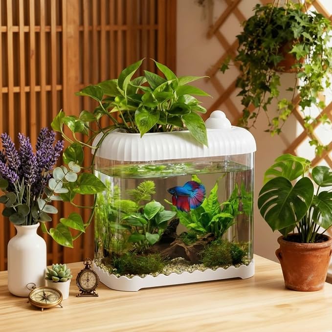 Geelin White 2.5 Gallon Plastic Aquaponic Betta Fish Tank Large Bowl Shatterproof Small Ecosystem Aquarium with Secure Buckle Lid, Clear Clarity for Terrarium, Flower Vase Betta Fish Tabletop Gifts