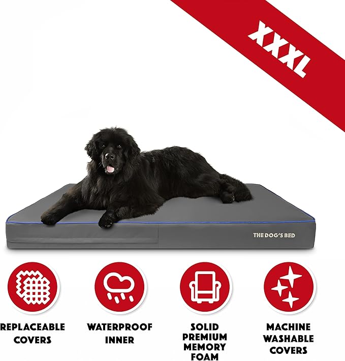 The Dog’s Bed Orthopedic Memory Foam Dog Bed Mattress, Oxford Fabric, Grey with Dark Blue Trim, XXXL, 6-Inch