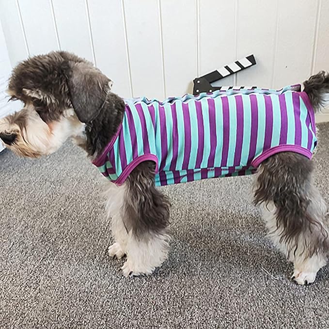 Dog’s Recovery Suit Post Surgery Shirt for Puppy, Wound Protective Clothes for Little Animals(Purple Blue Stripe-xs)