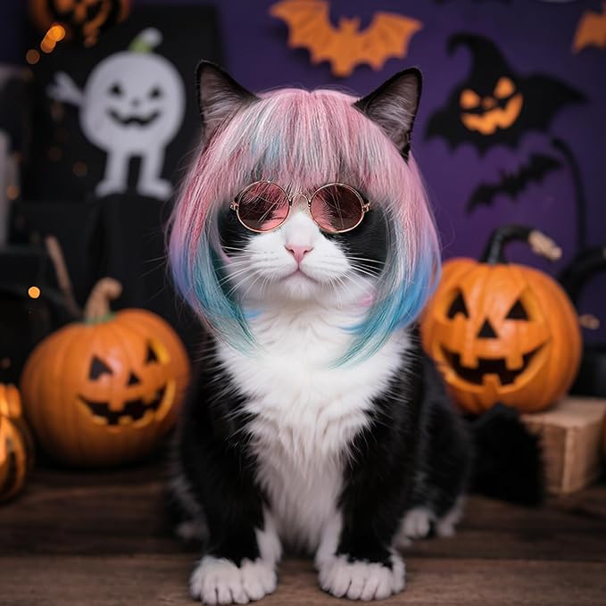 Idepet Cat Wig, Pet Wig for Dogs & Cats Adjustable Fit, Mixed Blue & Pink Wigs for Cat Halloween Cosplay Party