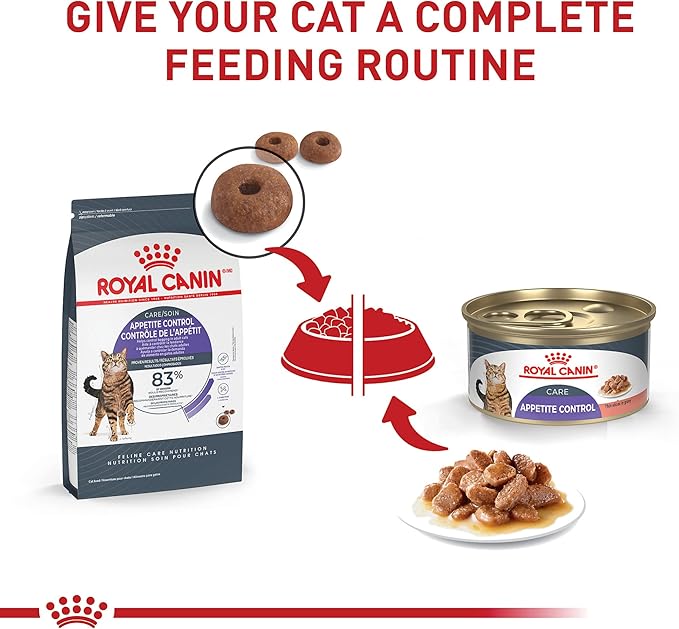 Royal Canin Feline Care Nutrition Appetite Control Care Adult Dry Cat Food, 6 lb Bag