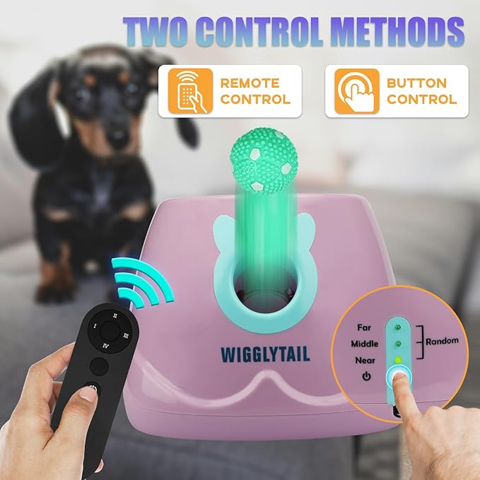 Automatic Dog Ball Launcher, Dog Ball Fetch Machine with Remote Control, Auto Ball Thrower for Small Dogs and Puppies, Pet Self Playing Toys, Indoor and Outdoor Interactive Toys with 10 Balls