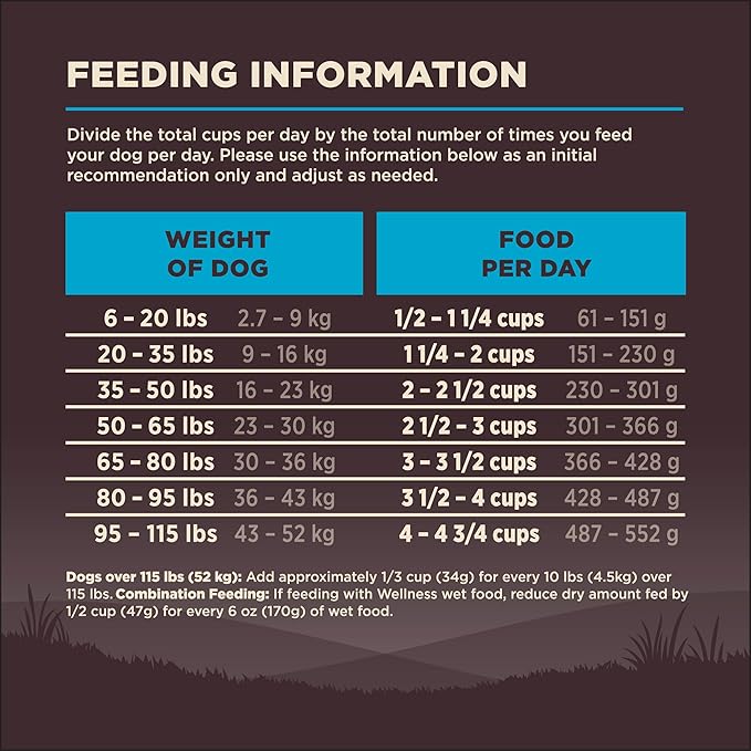Wellness CORE Adult Dry Dog Food, Grain Free Kibble, Natural, High Protein, Chicken Free, Whitefish, Herring and Salmon Recipe, 4 lb Bag