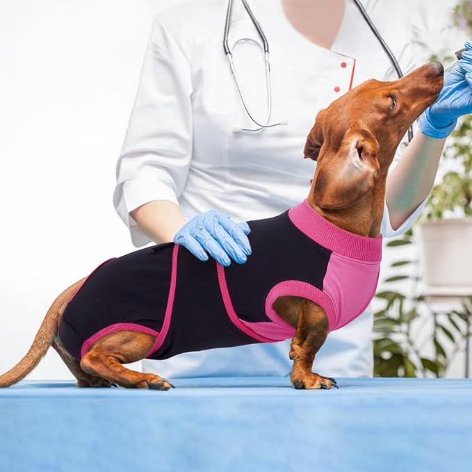 Kuoser Recovery Suit for Dogs After Surgery, Soft Dog Surgery Suit Female Male, Breathable Pet Surgical Recovery Shirt, Anti Licking Dog Onesie for Abdominal Wounds Cone Alternatives, Black XS