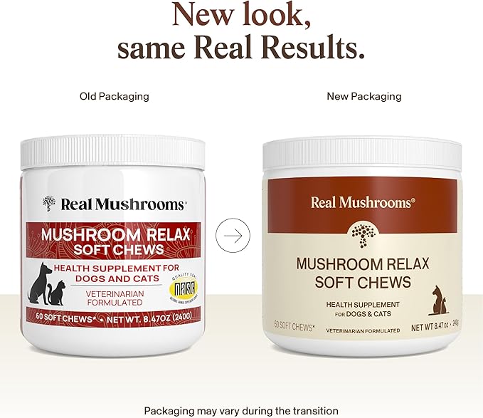 Calming Chews for Dogs & Cats – Soft Chews with Reishi & Lion’s Mane for Daily Composure – for All Breeds & Sizes – Calming Treats for Dogs: 1 Chew/20 lb Daily; Cats: ¼ Chew Twice Daily – 60 Count