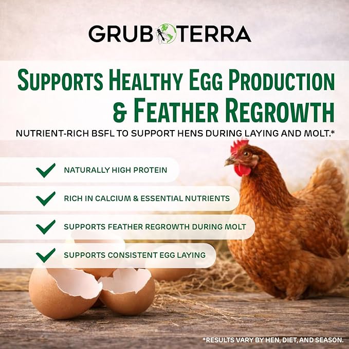 GrubTerra Black Soldier Fly Larvae for Chickens – Dried BSFL Poultry Treat, High Protein Calcium Feed Supplement for Laying Hens, Backyard Chickens, Sourced from Mexico, Not from China - 10LB