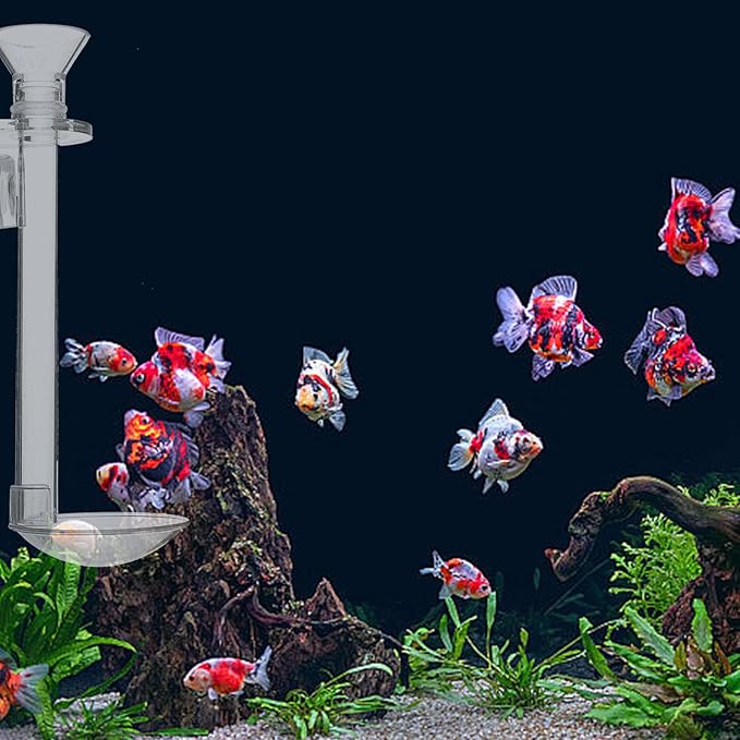 Aquarium Fish Feeder Tube with Acrylic Container, 15cm Wall-Mounted Shrimp Feeding Kit with Floating Ring and Cleaning Brush for Tank and Betta Supplies