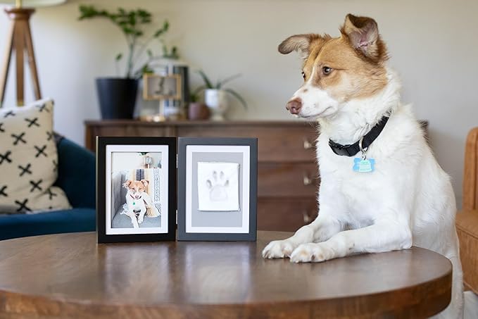 Pearhead Pet Paw Print Photo Frame With Clay Imprint Kit - Wooden Pet Paw Print Frame, DIY Memorial Keepsake for Cats and Dogs, No Mess Clay for Perfect Pawprints, Ideal Home Decor and Gift, Black