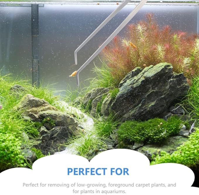 POPETPOP 2pcs Stainless Steel Aquarium Tweezers Straight Curved Tongs for Water Plants Fish Tank Maintenance and Feeding Ergonomic Design Easy to Use