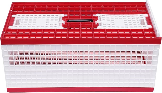 Pigeon Cage, Racing Pigeon Carrier Box Plastic Foldable Pigeon Cage with Handle Bird Training Basket Live Bird Shipping Boxes with 2 Side Doors 2 Top Doors for Training Release Competition