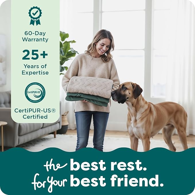 FurHaven Dog Bed Cover Replacement, Sofa-Style Design with Soft, Breathable Fabric for Cozy Comfort, Machine Washable, Jumbo XL, Plush & Velvet Waves, Celadon Green
