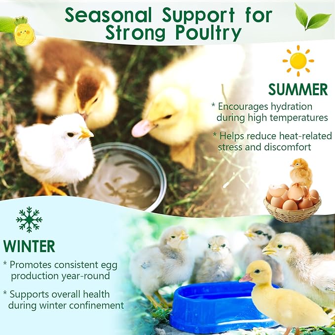 Chicken Electrolytes, Vitamins & Probiotics – Poultry Supplement for Hydration, Immunity & Gut Health – for Chickens, Ducks, Turkeys – 8.8oz Powder – All Ages Formula